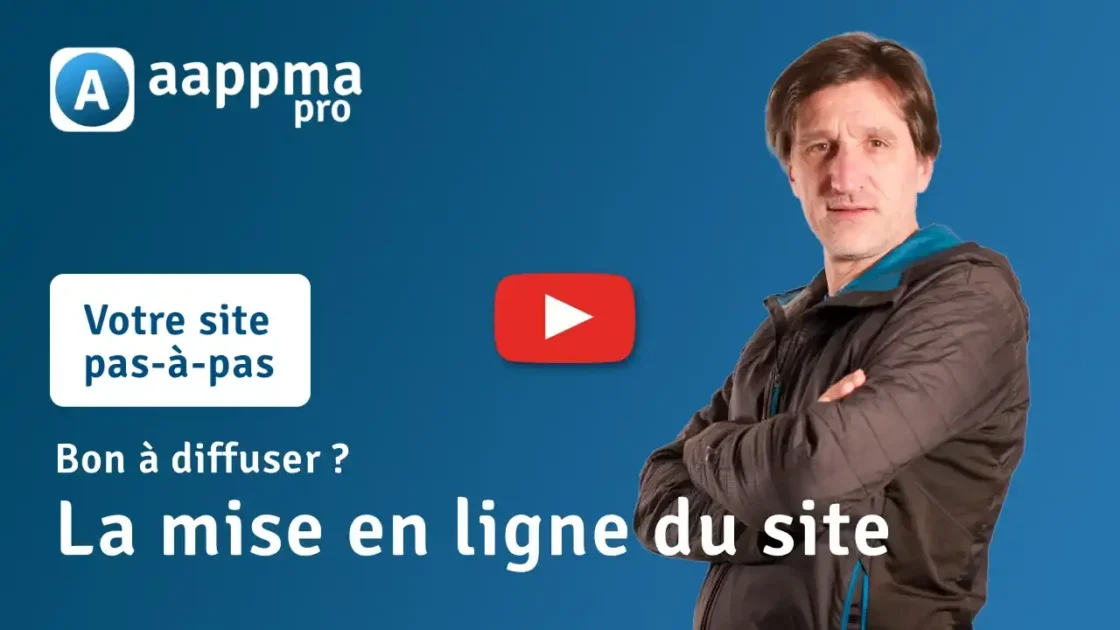 La mise en ligne du site