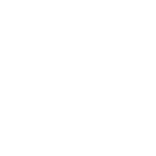 icon-flag